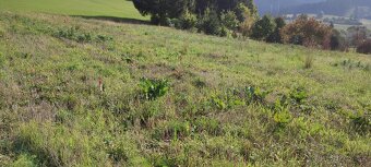 Pozemok Ludrová - 5