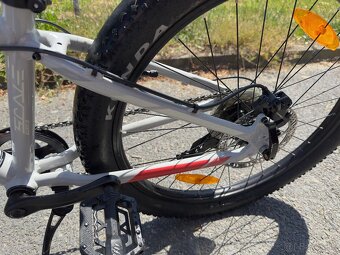 Scott scale plus 24 - 5