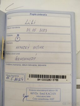 Predám psy - 5