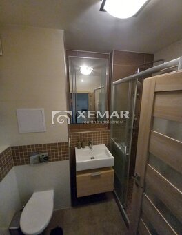 Prenájom: 1-izbový kompletne zariadený byt + terasa na Ka... - 5