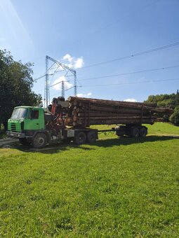 Tatra 815 Terrno lesovoz epsilon - 5