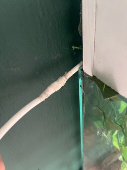 Predám terarium spolu s python regius - 5