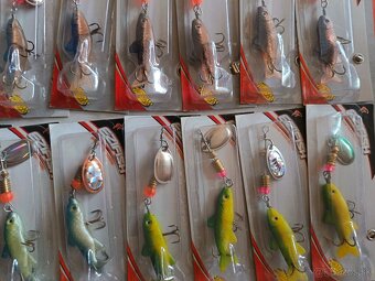 Rotačka dvojlistá - 5