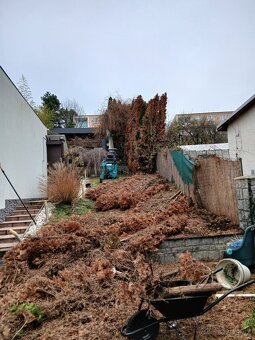 VÝRUB/OREZ STROMOV, LACNO A BEZPEČNE - 5