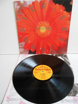 Vinyl Shelleyan Orphan – Century Flower - 5