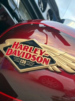 Harley Davidson Tri Glide Ultra Anniversary - 5