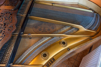 ALOIS KERN PIANO FORTE - 5