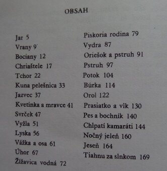 Na slnečnom chodníku - Jaromír Tomeček - 5