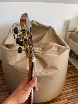 Gitara - 5