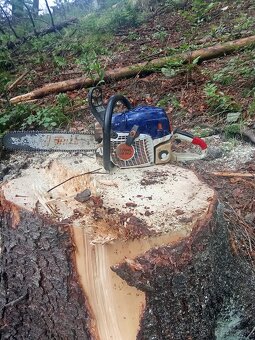 Stihl ms 362 - 5