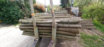 Predam agatove koly stlpy zrde - 5