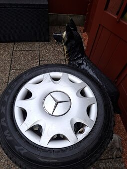 Predam celoročne pneumatiky + disky r 15 - 5