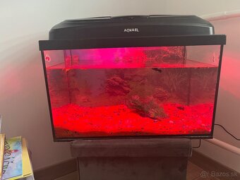 Predám akvárium 30l - 5