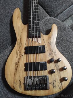 5-strunová Basgitara ESP LTD B-205SM NS - 5