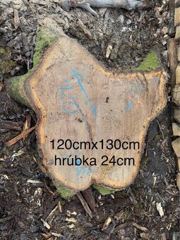 Dubové koláče na konferenčné stoly - 5