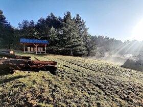 Domáci včelí med z Turčianskej záhradky - 5