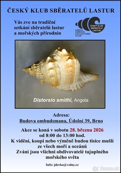 Zub - Žralok bělavý - 5