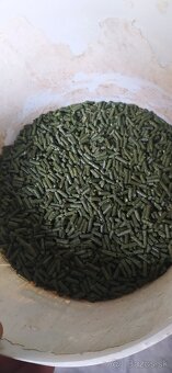 Granule - 5