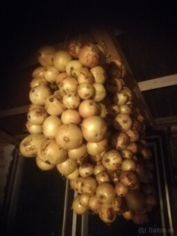 Darujem kvalitný viacročný hnoj - 5