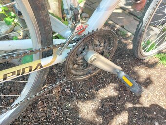 Bicykel Alpina Eco C10 - 5