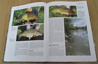 Chytání velkých kapru - 5
