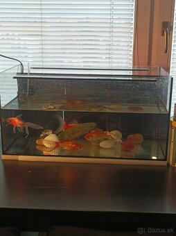 Akvárium - 5