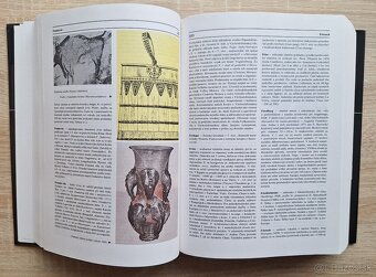 Encyklopedia archeologie - 5