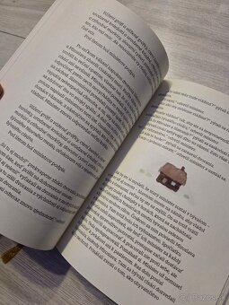 Kniha Princezné a princovia, Pavol Rankov - 5