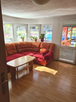 Zaujímavá väčšia nehnuteľnosť na bývanie, podnikanie,... - 5