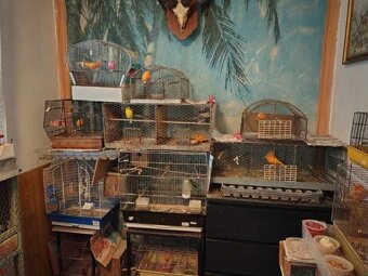 KLIETKY+BOXI-ZDARMA - 5