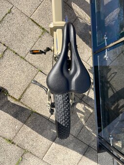 Mate Bike X 750w - 5