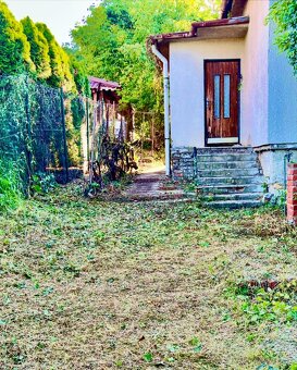 Kosenie, pílenie a opilovanie stromov, čistenie pozemkov - 5