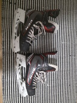 Korčule ccm FT1 - 5