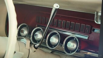 FORD THUNDERBIRD 1965 - 5