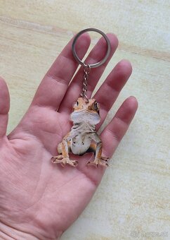 Dekorácie - agama bradatá - 5