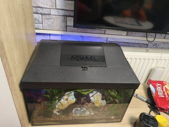 Predám zabehnuté akvárium - 5