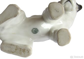 Foxteriér - Německo - Gotha - 5