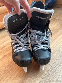 Korčule Bauer Supreme 140,v.37,5 - 5