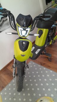 Predam elektro model Hecht Betis - 5