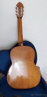 Gitara Schneider - 5