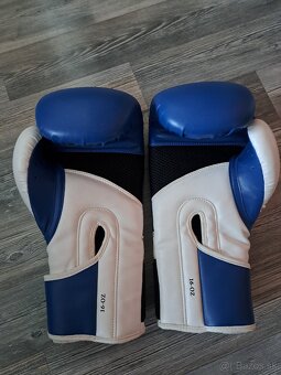 Boxerské rukavice PERDITOR - 5
