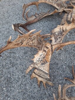 Parohy,zhody,trofeje - 5