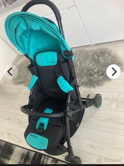 Sportovy kocik Minima - 5