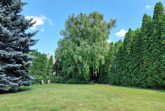 Slnečná vila pre väčšiu rodinu (firmu) len 25km od Bratislav - 5