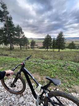 Dartmoor Hornet pro - 5