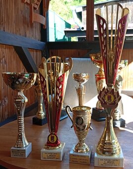 Pohárové trofeje - 5