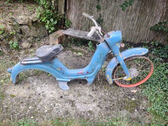 Jawetta 551 - 5