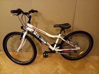Predám bicykel DEMA - 5