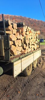 Palivove drevo buk - 5