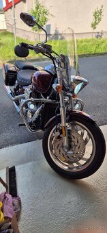 Honda vtx 1300 - 5